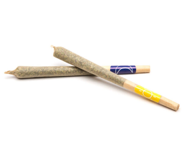 Pre-Rolled Joints for sale in North Carolina